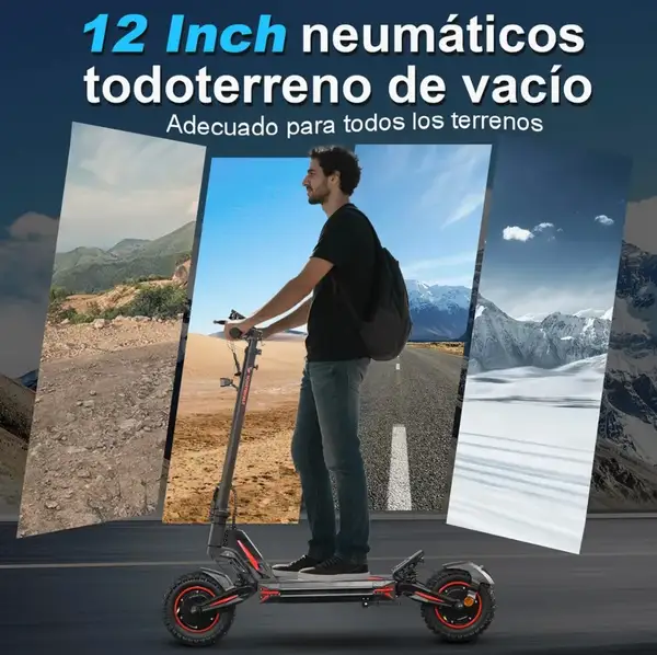 Honey Whale G4 - Motor